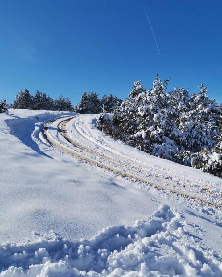 Apartman Nimfa Zlatibor Buitenkant foto