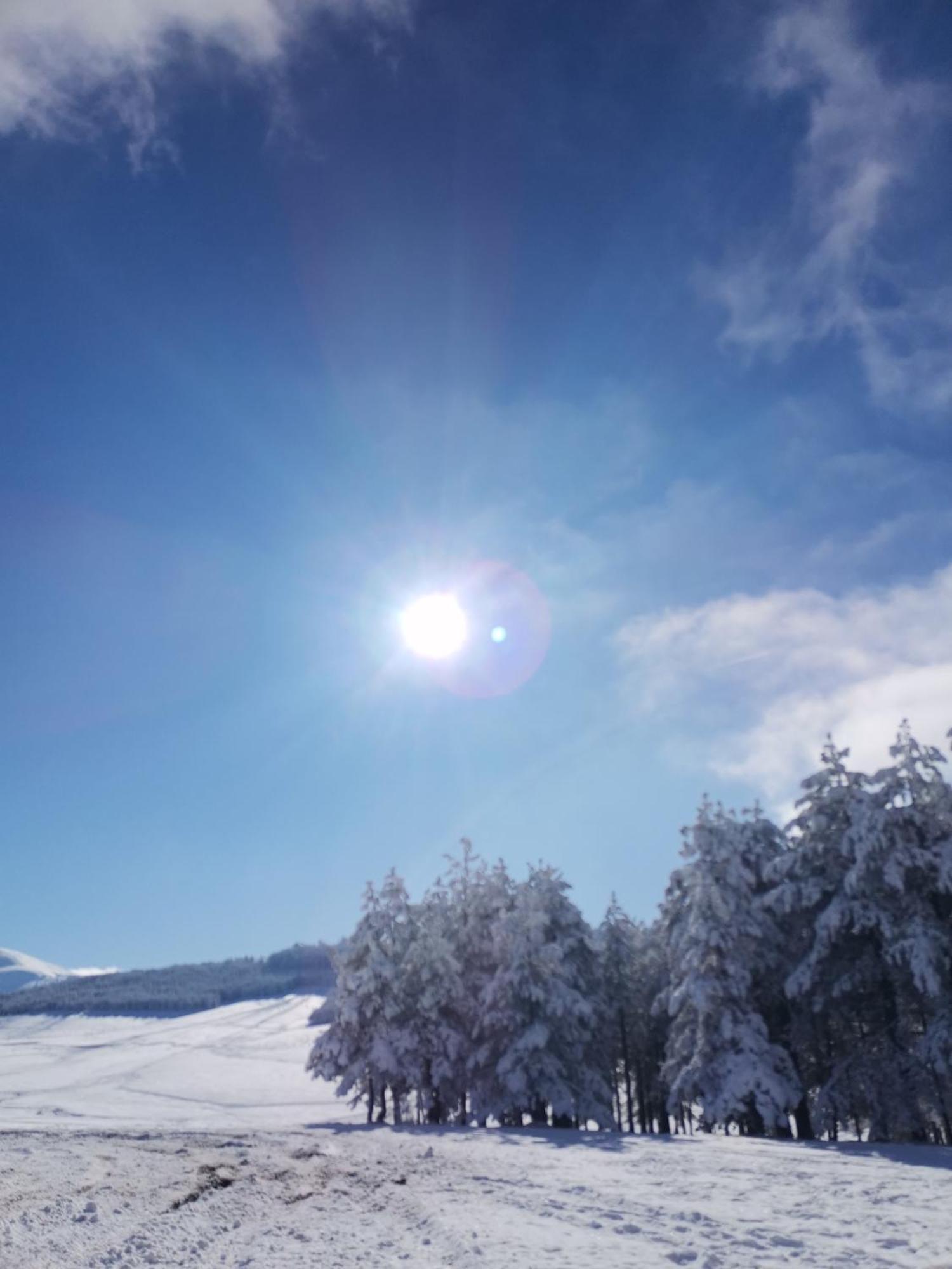 Apartman Nimfa Zlatibor Buitenkant foto