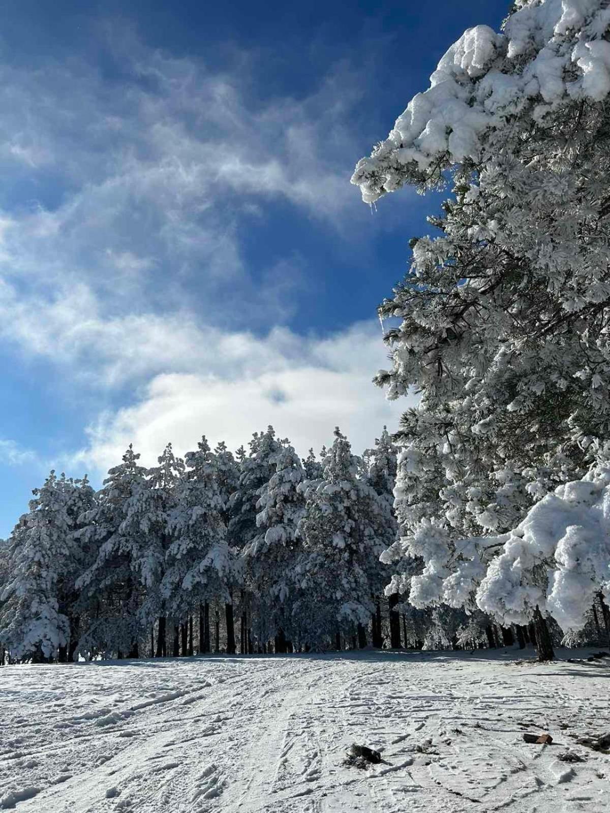 Apartman Nimfa Zlatibor Buitenkant foto